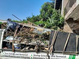 Best Furniture Removal  in Holton, KS